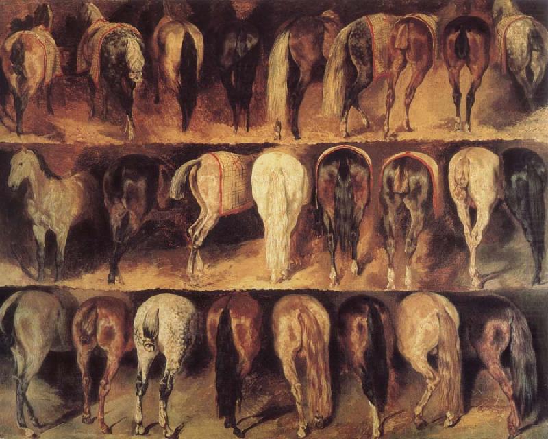 Theodore Gericault Horse jerk views oil painting picture